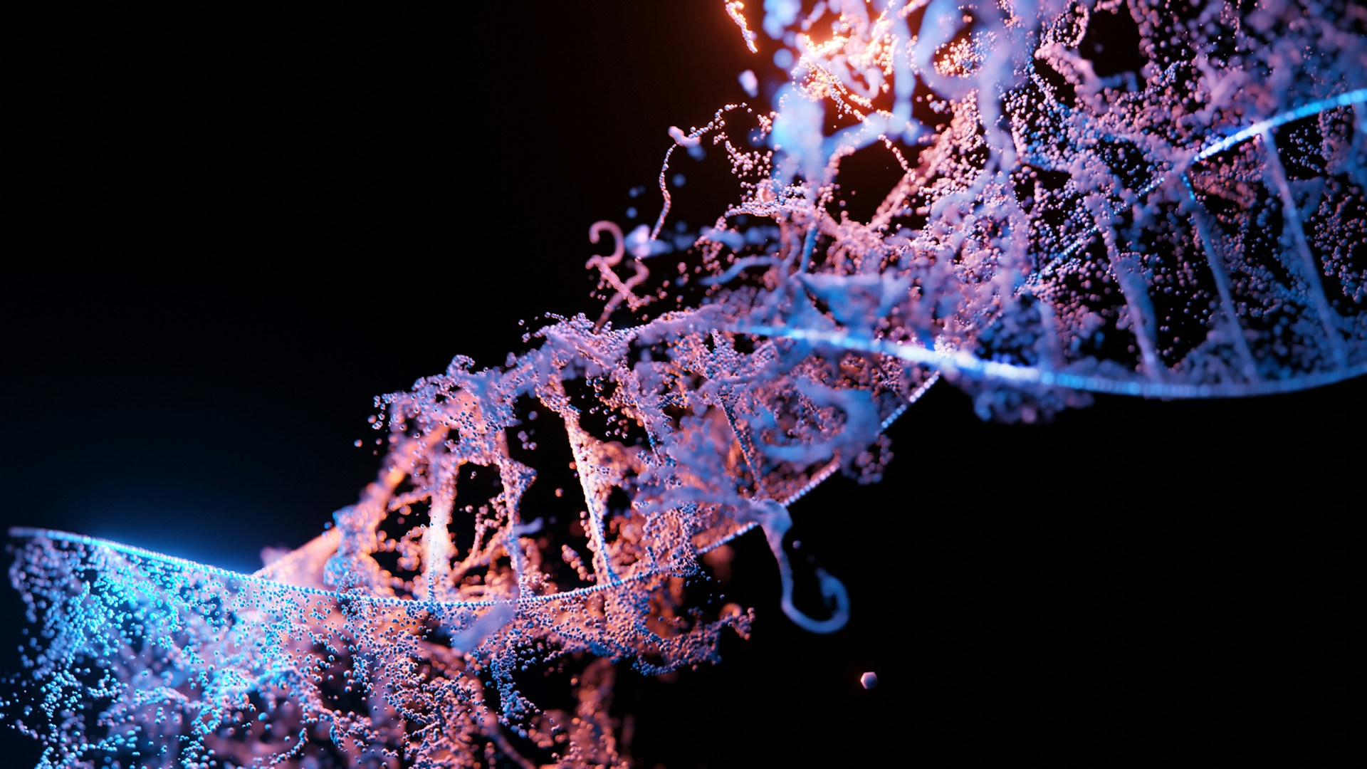 A DNA strand